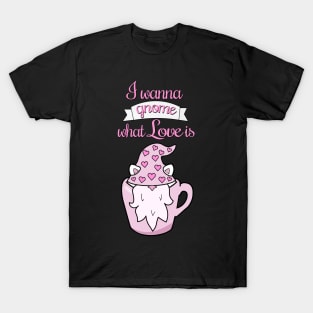 I wanna gnome what love is T-Shirt